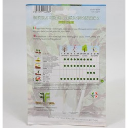 White Chard from Bari Seeds 2