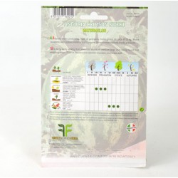 Crimson Sweet Watermelon Seeds 2