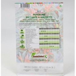 Semi Peperoncino Mazzetti 2