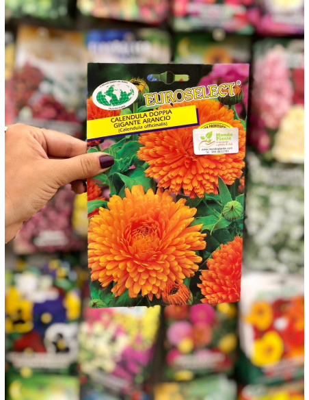 Vendita Semi di Calendula-Semi fiori|Mondo Piante