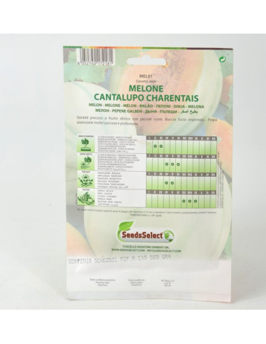 Cantalupo Charentais Melon Seeds for Sale-Seeds Online | Mondo Piante