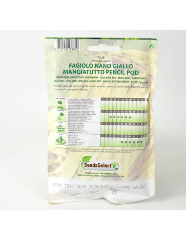Vendita Semi Fagiolo Nano Giallo Mangiatutto Pencil Pod-Semi per Orto