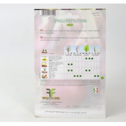 Tropea Red Onions Seeds 2
