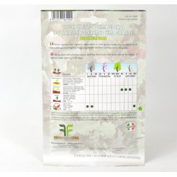 Cima Di Rapa Fasanese Seeds 2