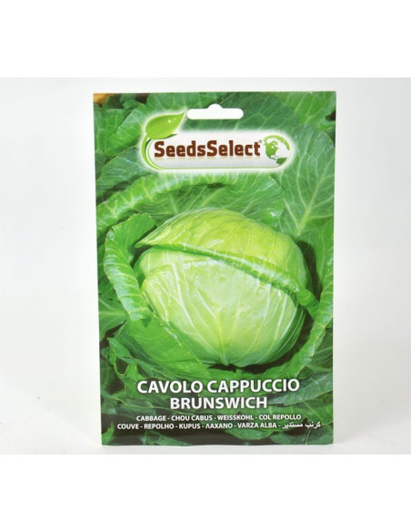 Cabbage Hood of Enkhuizen Seeds for Sale-Seeds Online | Mondo Piante