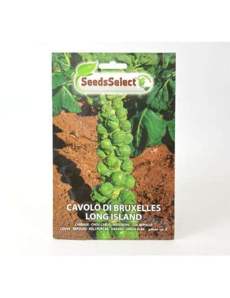 Long Island Brussels Sprouts Seeds for Sale-Seeds Online | Mondo Piante