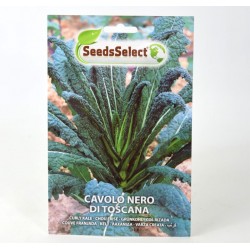 Semi Cavolo Nero di Toscana