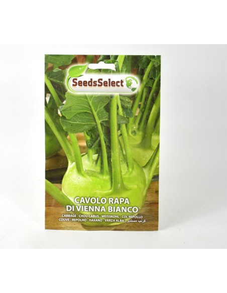 White Vienna Turnip Cabbage Seeds for Sale-Seeds Online | Mondo Piante