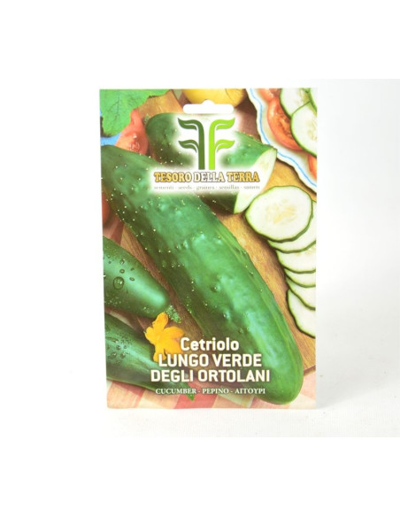 Long Cucumber Seeds for Sale-Seeds Online | Mondo Piante
