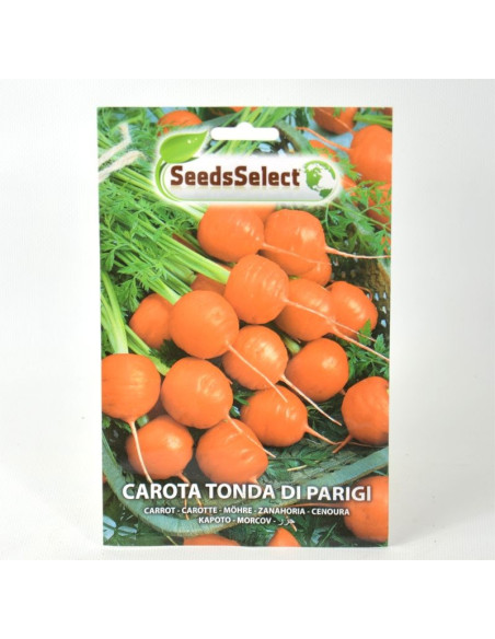 Charleston Gray Watermelon Seeds for Sale-Seeds Online | Mondo Piante