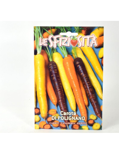 Polignano Carrot Seeds for Sale-Seeds Online|Mondo Piante