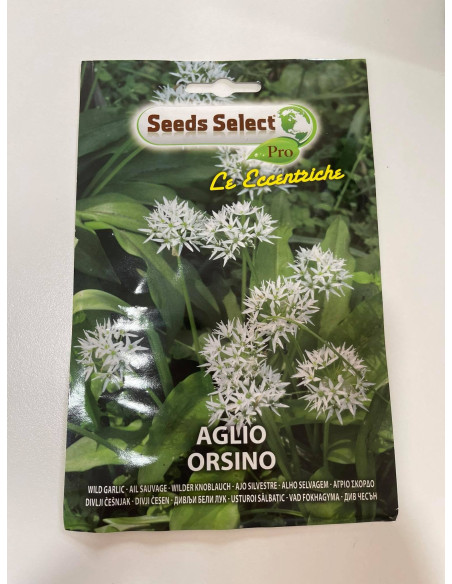 Vendita Semi di Aglio Orsino-Semi Piante Aromatiche OnLine|Mondo Piante