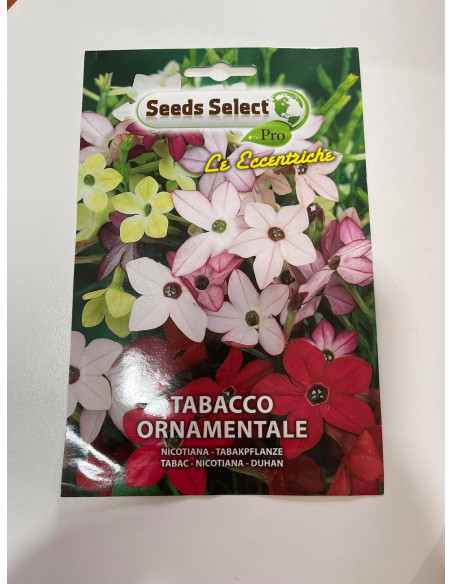 Vendita Semi di Tabacco Ornamentale-Semi Particolari|Mondo Piante