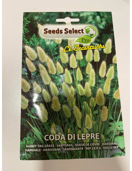 Tobacco Plant Seeds for Sale-Seeds Online | Mondo Piante
