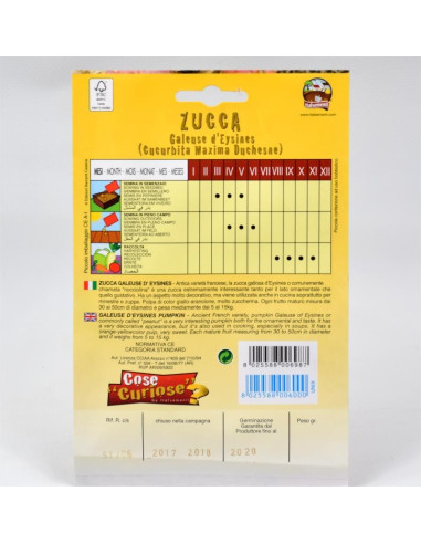 Vendita Semi di Zucca Nocciolina-Semi Particolari|Mondo Piante