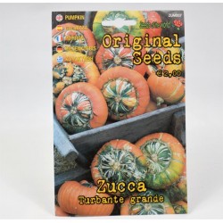 Semi Zucca Turbante Mini