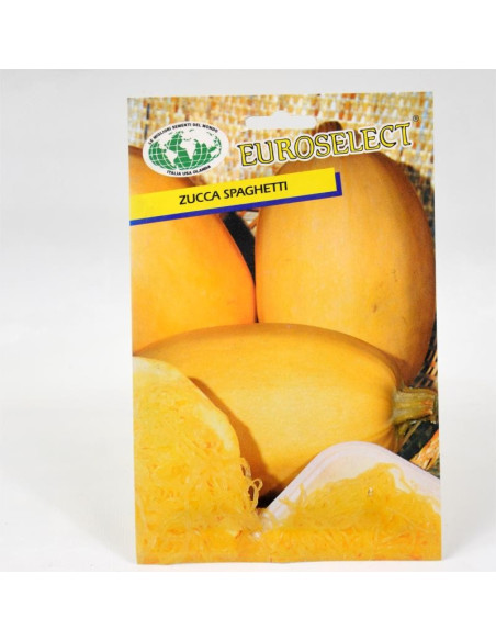 Vendita Semi di Zucca Spaghetti-Semi Particolari|Mondo Piante