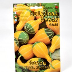 Bicolor Pumpkin Seeds