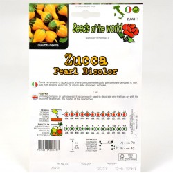 Semi Zucca Bicolor 2