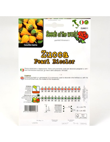 Bicolor Pumpkin Seeds for Sale-Seeds Online | Mondo Piante