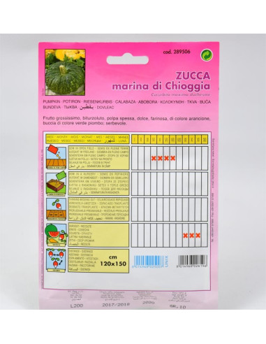 Vendita Semi di Zucca marina Di Chioggia-Semi Particolari|Mondo Piante