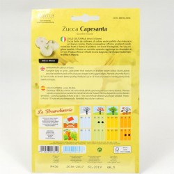 Semi Zucca Capesanta 2