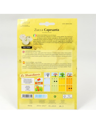Capesanta Pumpkin Seeds for Sale-Seeds Online | Mondo Piante
