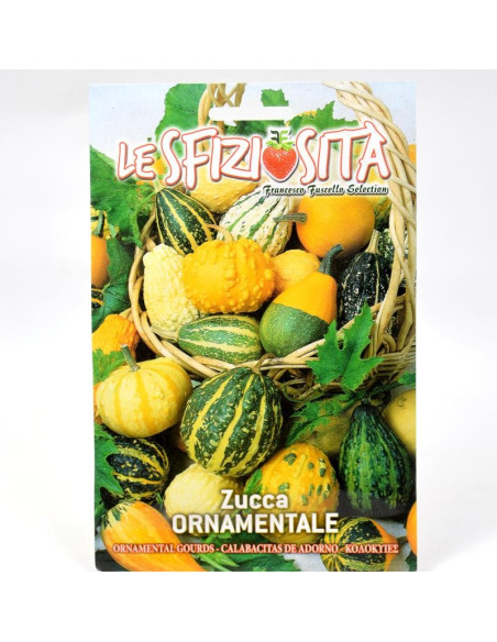 Vendita Semi di Zucca Ornamentale-Semi Particolari|Mondo Piante