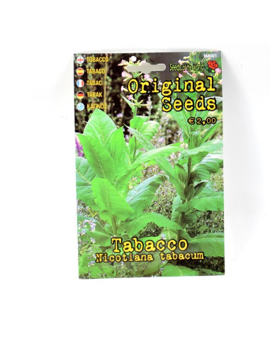 Set Regalo Semi Di Tabacco Da Fiuto, 3 Varietà: Virginia, Sigaro, Badischer Geudertheimer, Coltivazione Domestica