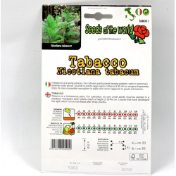 Tobacco Plant Seeds 2