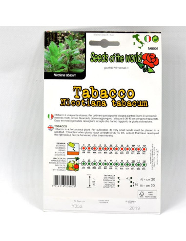 Tobacco Plant Seeds for Sale-Seeds Online | Mondo Piante