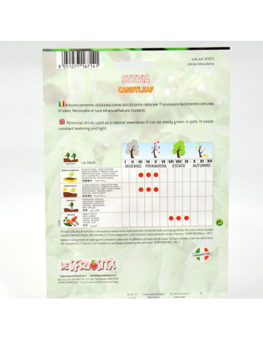 Stevia Seeds for Sale-Seeds Online | Mondo Piante