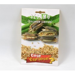 Semi Pianta Sesamo