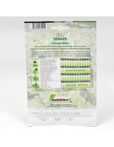 Mustard Seeds for Sale-Seeds Online | Mondo Piante