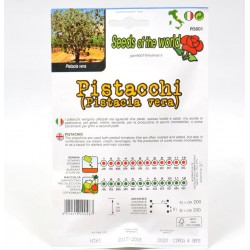 Semi Pistacchio 2