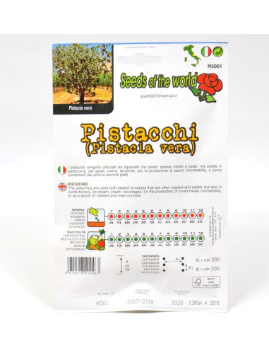 Vendita Semi Pistacchio-Semi Particolari|Mondo Piante