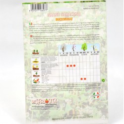 Semi Pianta Grano Saraceno 2