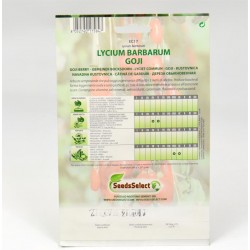 Goji Plant Seeds 2