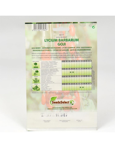 Vendita Semi Pianta Goji-Semi Particolari|Mondo Piante