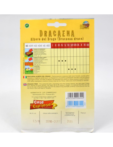 Vendita Semi Pianta Dracaena Draco-Semi Particolari|Mondo Piante