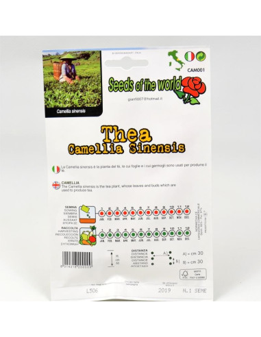 Vendita Semi del Thè-Semi Particolari OnLine|Mondo Piante