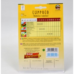 Semi Pianta del Luppolo 2