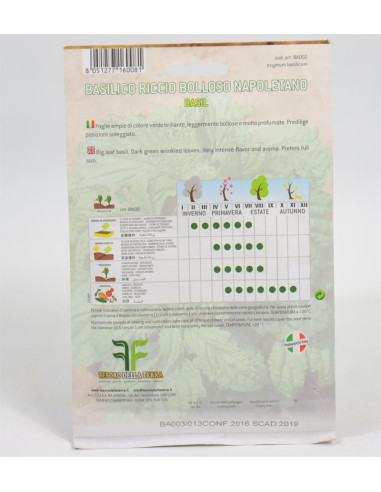 Vendita Semi di Basilico Riccio-Semi Piante Aromatiche|Mondo Piante