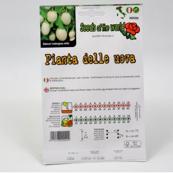 White Eggplant Seeds 2