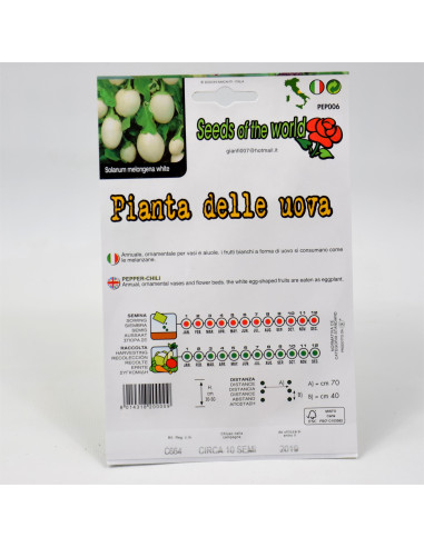 Vendita Semi della Melanzana Bianca-Semi Particolari|Mondo Piante