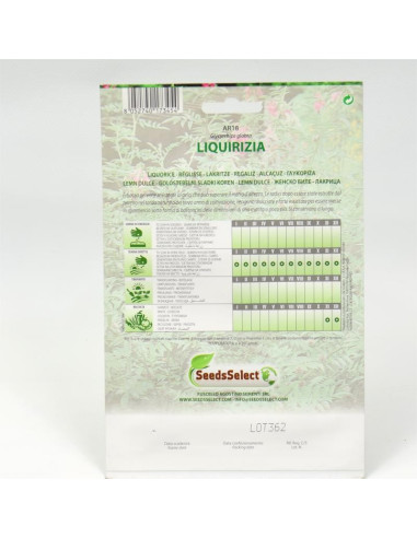 Vendita Semi della Liquirizia-Semi Particolari|Mondo Piante