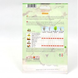 Semi Pianta del Ginseng 2