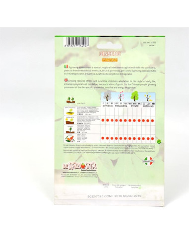 Vendita Semi del Ginseng-Semi Particolari|Mondo Piante