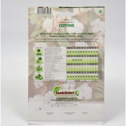 Cotton Plant Seeds 2