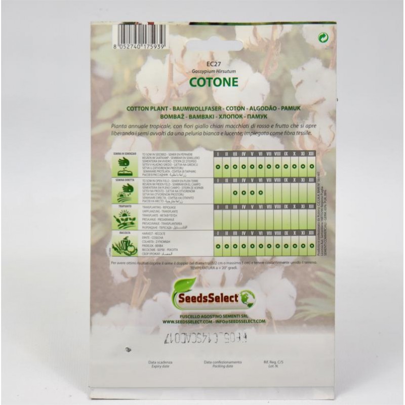 Semi Di Cotone 50 Pezzi - Piante Rare Per Decorazione Interna Ed Esterna - Foto 14